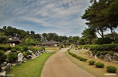 Samyang 14mm T3.1 II VDSLR Micro Four Thirds