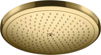 Hansgrohe Croma hoofddouche 280 1jet polished gold optic 26220990