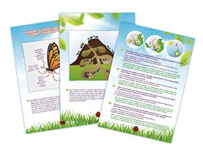 Insectenexplorer - BUKI meerkleurig Insectenexplorer - BUKI meerkleurig