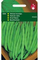 Zaden Stamslabonen chinees boontje Miracle 100g Tuinplus - Tuinplus - thumbnail