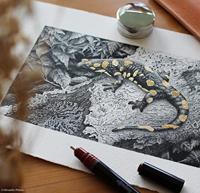 Rotring college set van 9 Isograph 0,25 mm/ 0,35 mm/ 0,5 mm - thumbnail