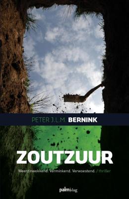 Zoutzuur - Peter J.L.M. Bernink - Paperback (9789493059306)