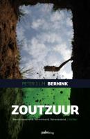Zoutzuur - Peter J.L.M. Bernink - Paperback (9789493059306) - thumbnail
