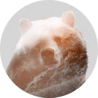 Noordwand Komar Dots Behangcirkel Bearava - D1-015 - thumbnail