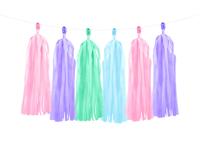 Tasselslinger Gekleurd - thumbnail
