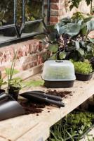 Elho Schotel kweektray 24cm zwart - thumbnail