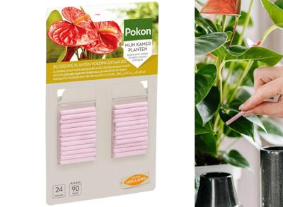 Pokon Bloeiende Planten Voedingsstaafjes - 24st - Plantenvoeding - Meststofstaafjes
