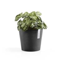 Ecopots Bloempot Amsterdam Mini Ø17cm - Donkergrijs - thumbnail