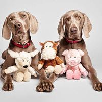 Knuffel voor honden Gloria Kondoo Wit Polyester Polypropyleen Schaap - thumbnail