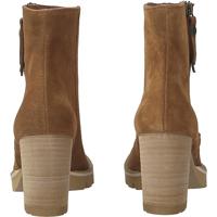 Paul Green 8054 - alle - thumbnail