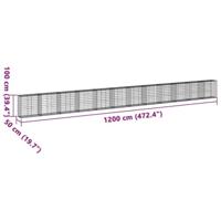 Schanskorf 1200x50x100 cm gegalvaniseerd ijzer zilverkleurig - thumbnail