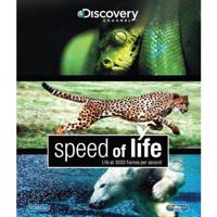 Speed of Life - thumbnail