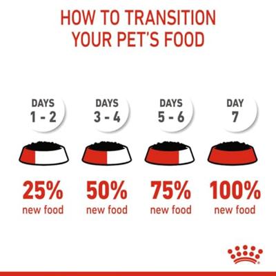 Royal Canin Kitten Sterilised natvoer kat (in gelei) 1 doos (12 x 85 g) - thumbnail