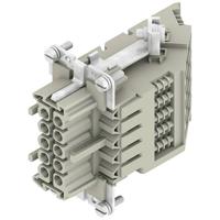 Weidmüller 1848570000 Businzetstuk 10 Schroeven 10 stuk(s) - thumbnail