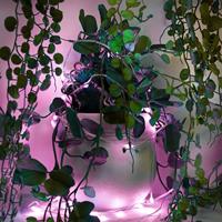 LED-lichtkrans Muvit iO 5 m - thumbnail