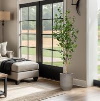 Ficus Triangularis Kunstboom 180cm - thumbnail