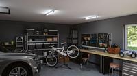 Paulmann LED-buis- Energielabel: F (A - G) G13 T8 11 W Neutraalwit 1 stuk(s) (Ø) 27 mm - thumbnail