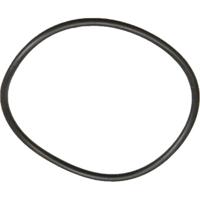 Panasonic vervangende O-ring voor onderwaterbehuizing - thumbnail