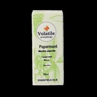 Volatile Pepermunt - thumbnail