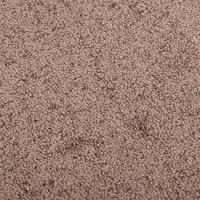 VidaXL Deurmat 60x80 cm bruin - thumbnail