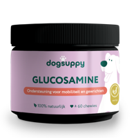 Dogsuppy Glucosamine Chewies - thumbnail