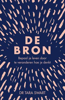 De bron (Paperback) De bron (Paperback)