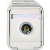 ELSO-stopcontact afsluitbaar 455019 16A AquaTop licht/basisgrijs Meerdere kleuren 1 stuk(s) ELSO-stopcontact afsluitbaar 455019 16A AquaTop licht/basisgrijs Meerdere kleuren 1 stuk(s)