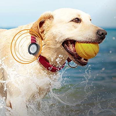 Catalyst Clip It Case AirTag Stealth zwart