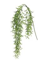 Hoya hanger groen 105cm - thumbnail