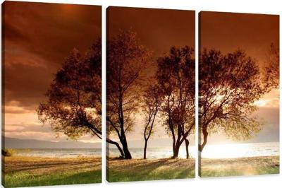 Schilderij - Natuur, 3 luik, 150x90cm