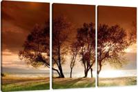 Schilderij - Natuur, 3 luik, 150x90cm - thumbnail