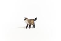 Schleich farm world ragdoll kat 13940 - thumbnail