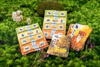 Meadow Adventure Book - thumbnail