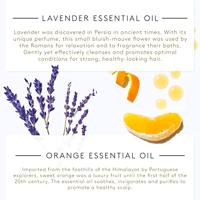 Maybelline Master primer perf 30 anti-redness (1 st) - thumbnail