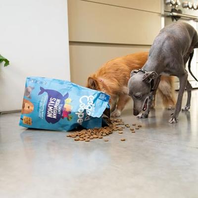 Edgard & Cooper Hond Zalm 12kg grote brok