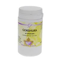 Holisan Gokshura Capsules 60st - thumbnail