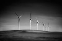 Lensbaby Composer Pro II with Edge 80 Nikon F (FX) - thumbnail