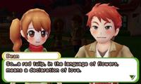 Harvest Moon: Skytree Village - thumbnail