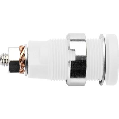 Schützinger DI SEB 6445 Ni / WS Veiligheids-inbouwbus Wit 1 stuk(s)