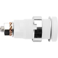 Schützinger DI SEB 6445 Ni / WS Veiligheids-inbouwbus Wit 1 stuk(s) - thumbnail