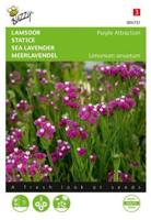 Zaden limonium lamsoor purple attraction 0.2 gram Buzzy - Buzzy - thumbnail