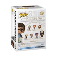 Harry Potter Funko Pop Vinyl: Harry Potter (173) - thumbnail