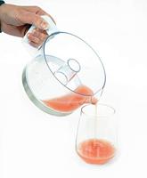 Silva Homeline ZB 3500 Citruspers 40 W Met voet RVS, Wit - thumbnail