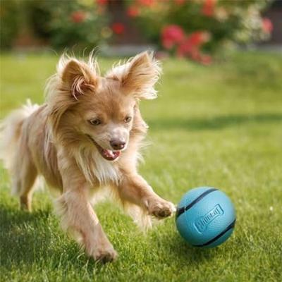 Chuckit sniff fetch bal combo pindakaas & bacon - thumbnail