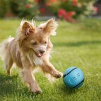 CHUCKIT SNIFF FETCH BAL COMBO PINDAKAAS & BACON - thumbnail