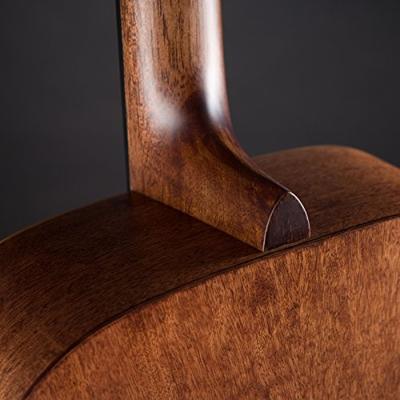 Sigma Guitars DM-ST westerngitaar