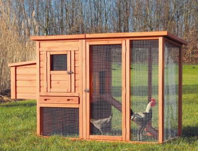 TRIXIE NATURA KIPPENHOK MET REN 170X105X77 CM - thumbnail