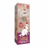 CUPID & COMET 12 DAYS OF CHRISTMAS - thumbnail