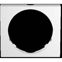 Busch-Jaeger 2CKA006800A3097 Frame - thumbnail