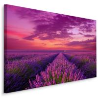 Schilderij - Bloeiende lavendelveld, premium print - thumbnail